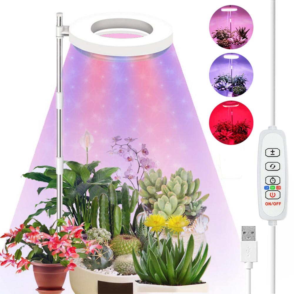 Lampes pour plantes à intensité variable avec tête lumineuse annulaire Spectrum