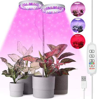 Lampes pour plantes à intensité variable avec tête lumineuse annulaire Spectrum