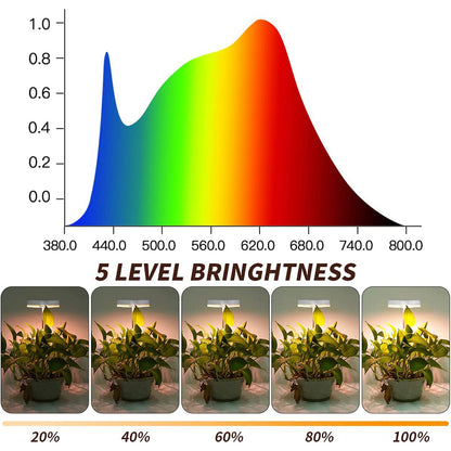 Lindas luces de cultivo LED con forma de abeja