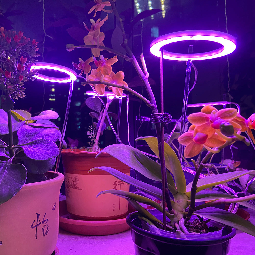 Luz LED para cultivo de plantas USB de espectro completo, rojo y azul