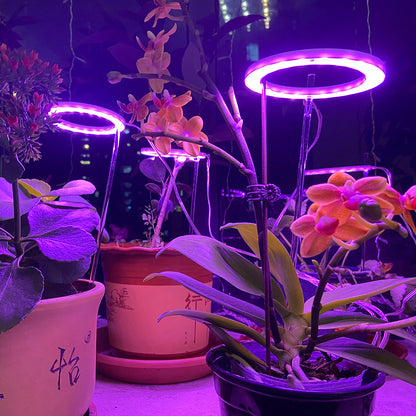 Luz LED para cultivo de plantas USB de espectro completo, rojo y azul