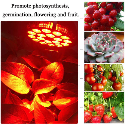 High Power Brightness LED Grow Light PAR38 18W/54W