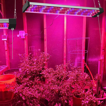 Barras de luz de cultivo LED conectables de espectro completo