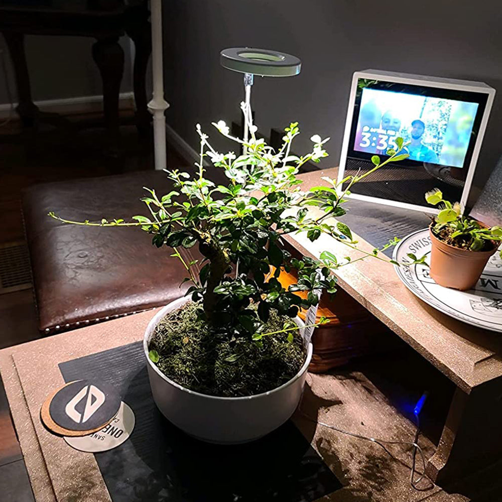 Lámpara LED de cultivo de plantas Halo de espectro completo