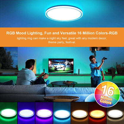 Flush Mount LED Ceiling Light Smart Wifi Ble Remote Control