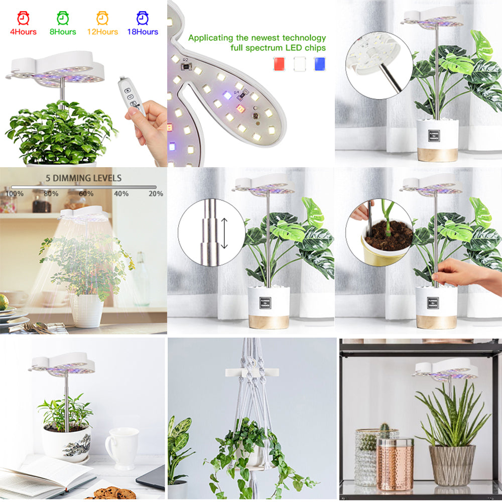 Cute Bee Shape LED Grow Lights