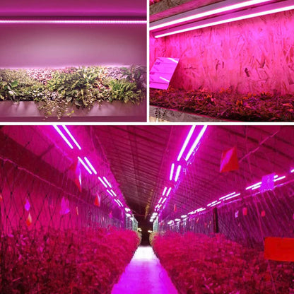 Barras de luz de cultivo LED conectables de espectro completo