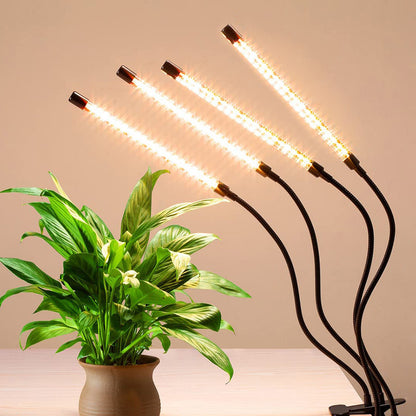 Lampes LED pour plantes à spectre complet avec minuterie marche/arrêt automatique