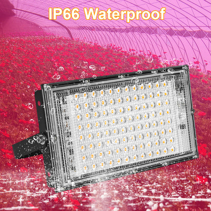 Interruptor de encendido y apagado de luz LED para plantas 50W/100W