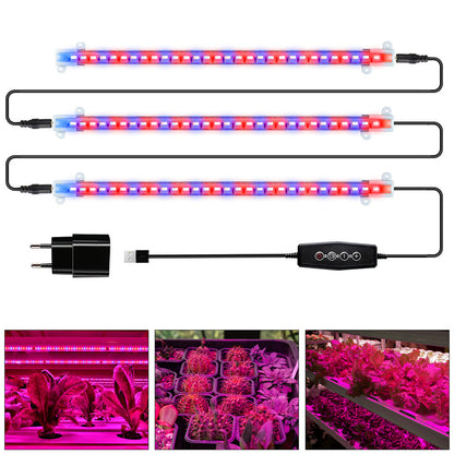 Tiras de luz de cultivo LED regulables de espectro completo