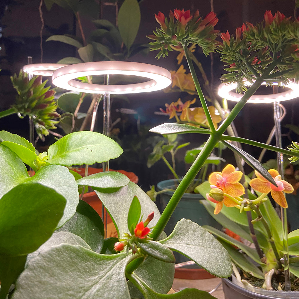 Plante LED USB à spectre complet élèvent la lumière du soleil