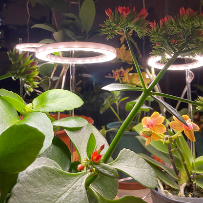 Luz LED para cultivo de plantas USB de espectro completo: luz solar