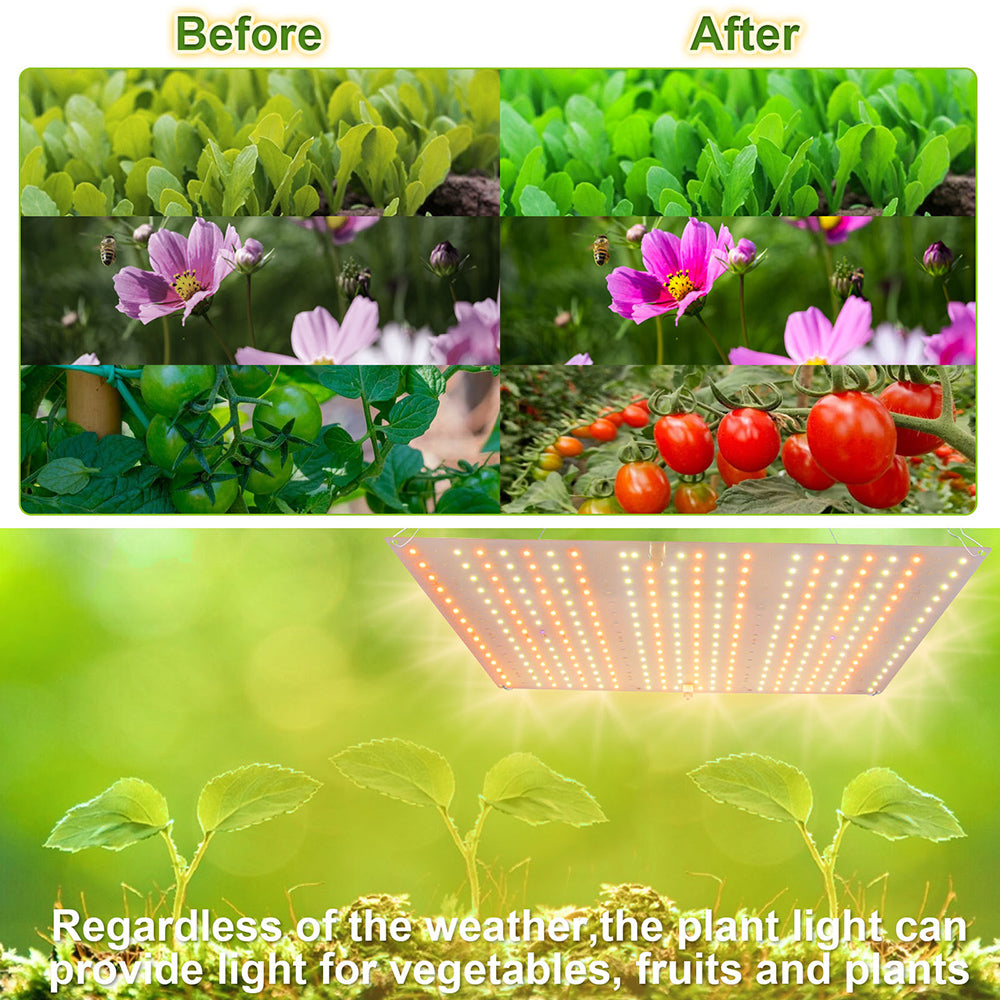 LED Grow Light Full Spectrum