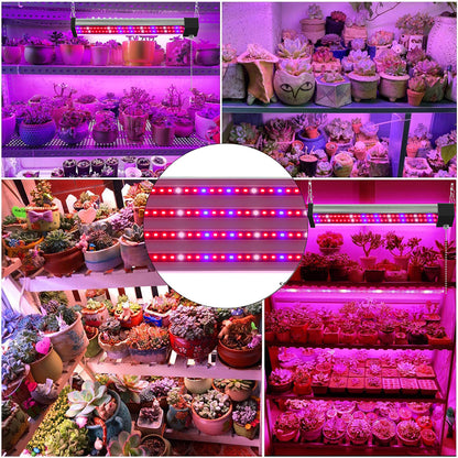 Barras de luz de cultivo LED conectables de espectro completo