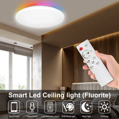 Smart Led RGB Ceiling Light Flush Mount 28W