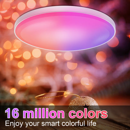 RGB Smart Ceiling Light