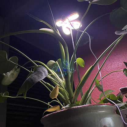 Lindas luces de cultivo LED con forma de abeja