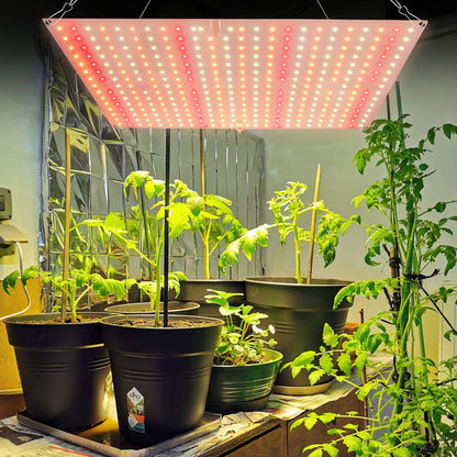 Luz de cultivo LED de espectro completo