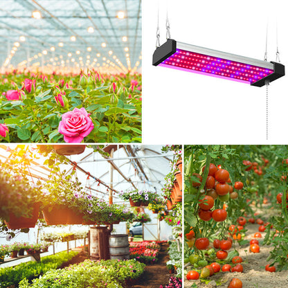 Barras de luz de cultivo LED conectables de espectro completo