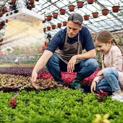 Lampes de culture LED à double interrupteur, lumière du soleil pour légumes et fleurs, spectre complet