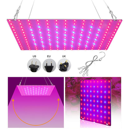 LED Grow Light Full Spectrum Red Blue Light 81-312LEDs 25W-80W