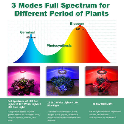 Lampes pour plantes à intensité variable avec tête lumineuse annulaire Spectrum