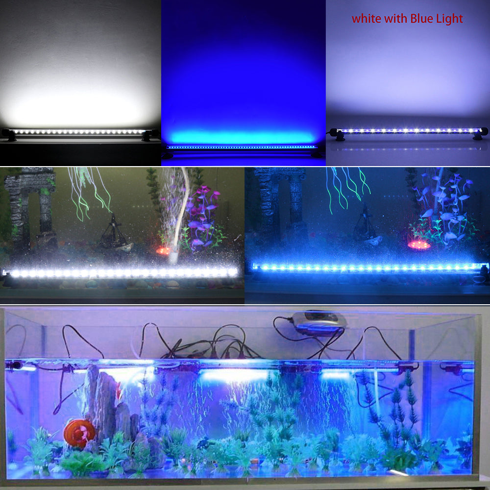 Lumière d'aquarium LED submersible avec minuterie marche/arrêt automatique