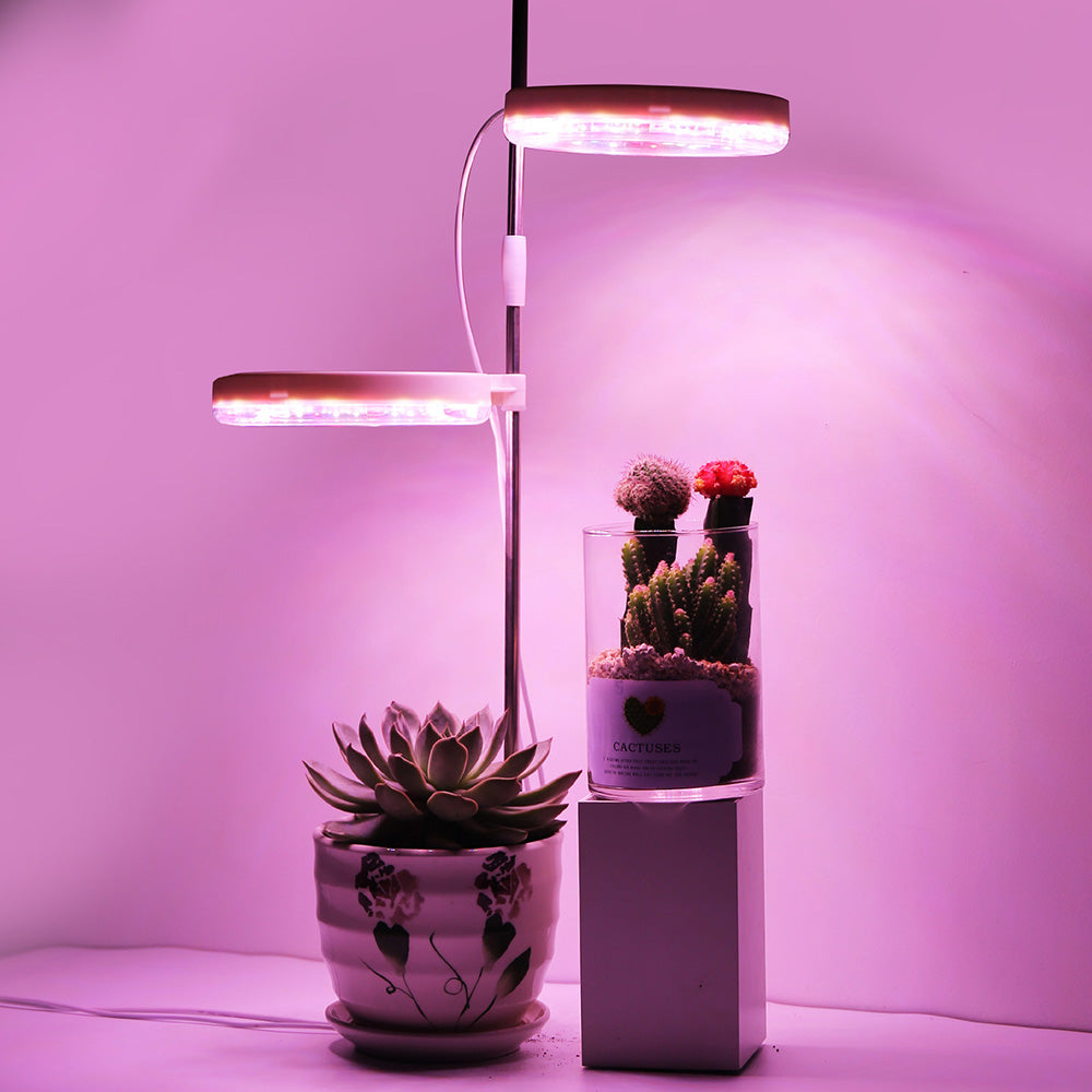 Lampes pour plantes à intensité variable avec tête lumineuse annulaire Spectrum