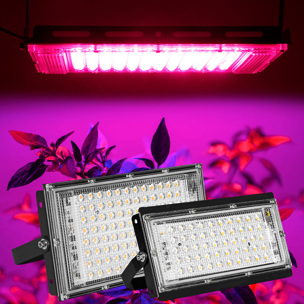 Interruptor de encendido y apagado de luz LED para plantas 50W/100W