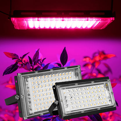 Interruptor de encendido y apagado de luz LED para plantas 50W/100W