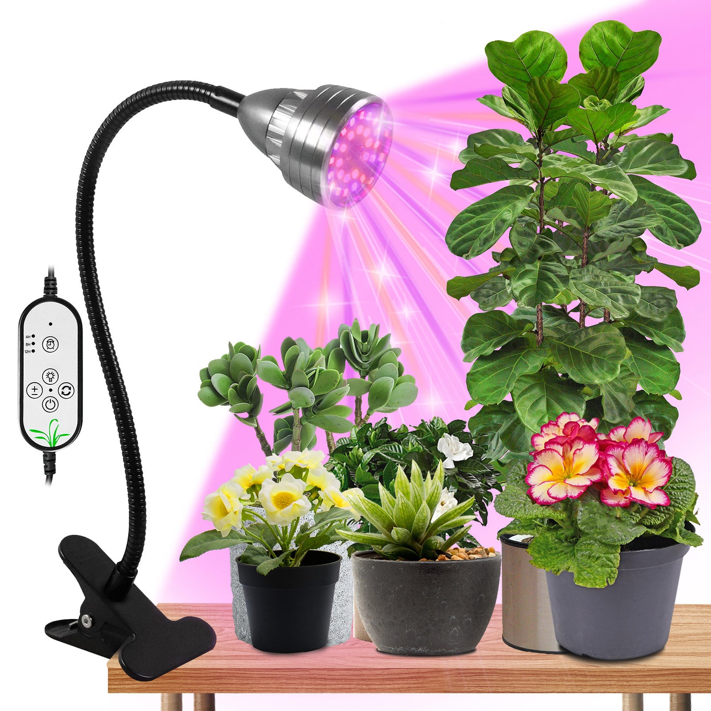 Lampes LED pour plantes à clipser