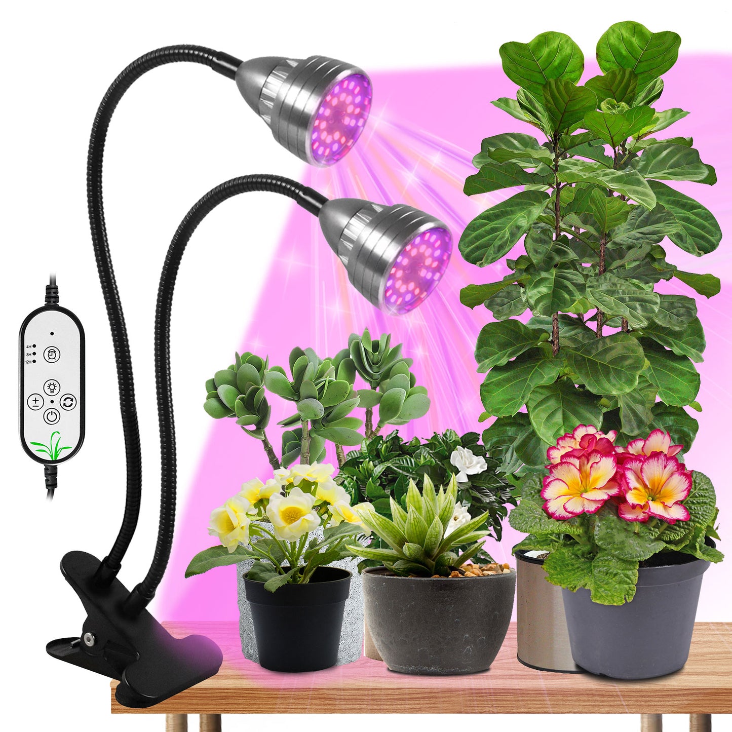 Lampes LED pour plantes à clipser