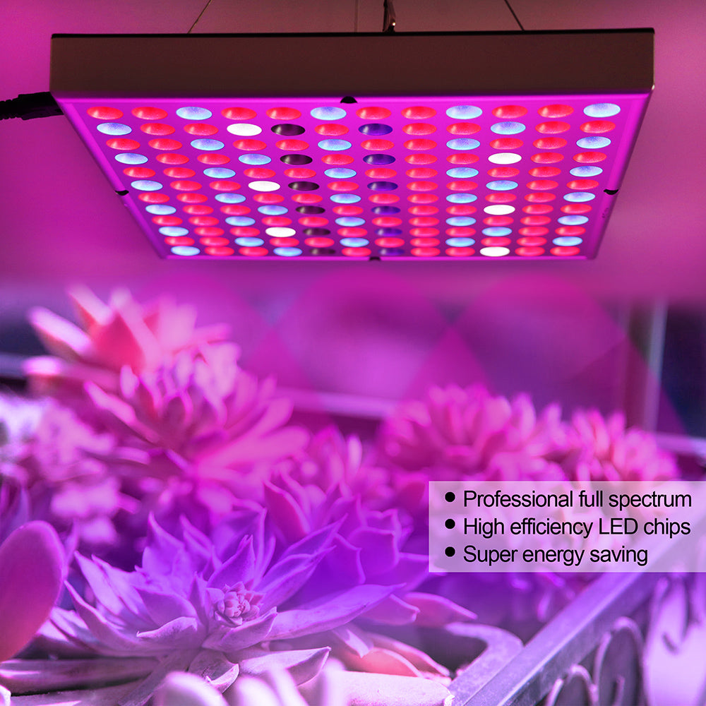 LED Grow Light Full Spectrum Red Blue Light 81-312LEDs 25W-80W