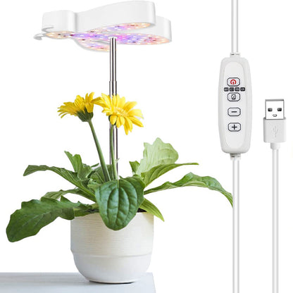 Lindas luces de cultivo LED con forma de abeja