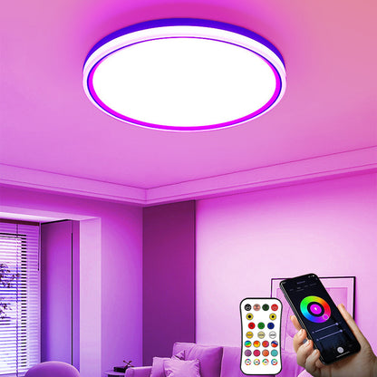 Flush Mount LED Ceiling Light Smart Wifi Ble Remote Control