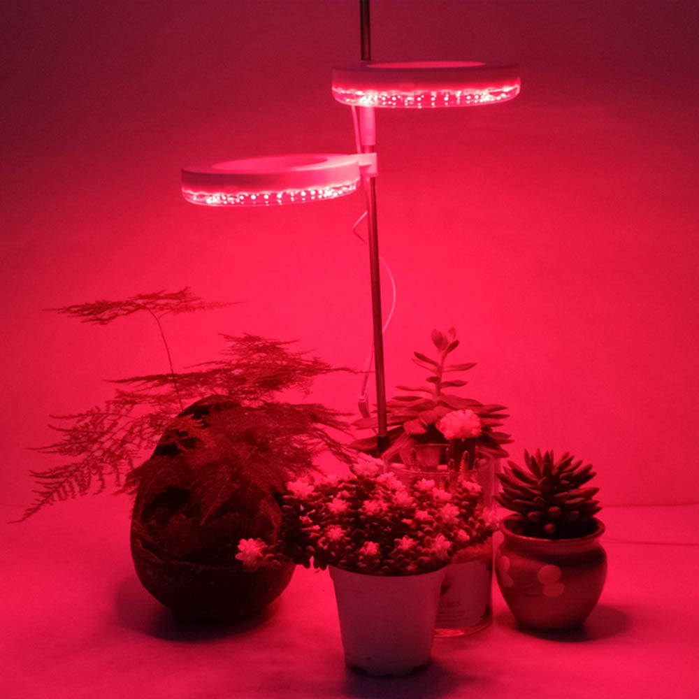 Lampes pour plantes à intensité variable avec tête lumineuse annulaire Spectrum