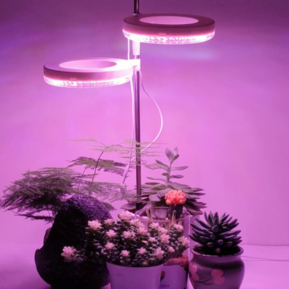 Lampes pour plantes à intensité variable avec tête lumineuse annulaire Spectrum