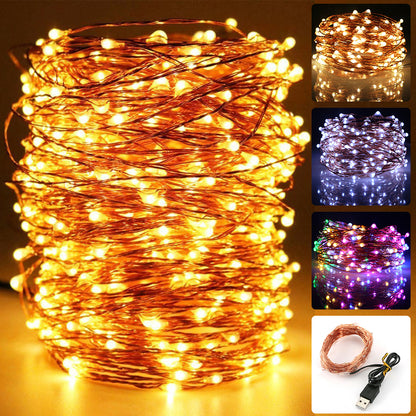 LED Copper Wire String Light Fairy Light