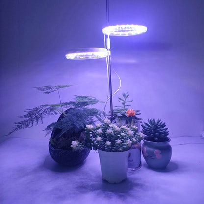 Lampes pour plantes à intensité variable avec tête lumineuse annulaire Spectrum