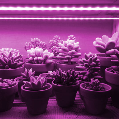 Connectable LED Full Spectrum Grow Light