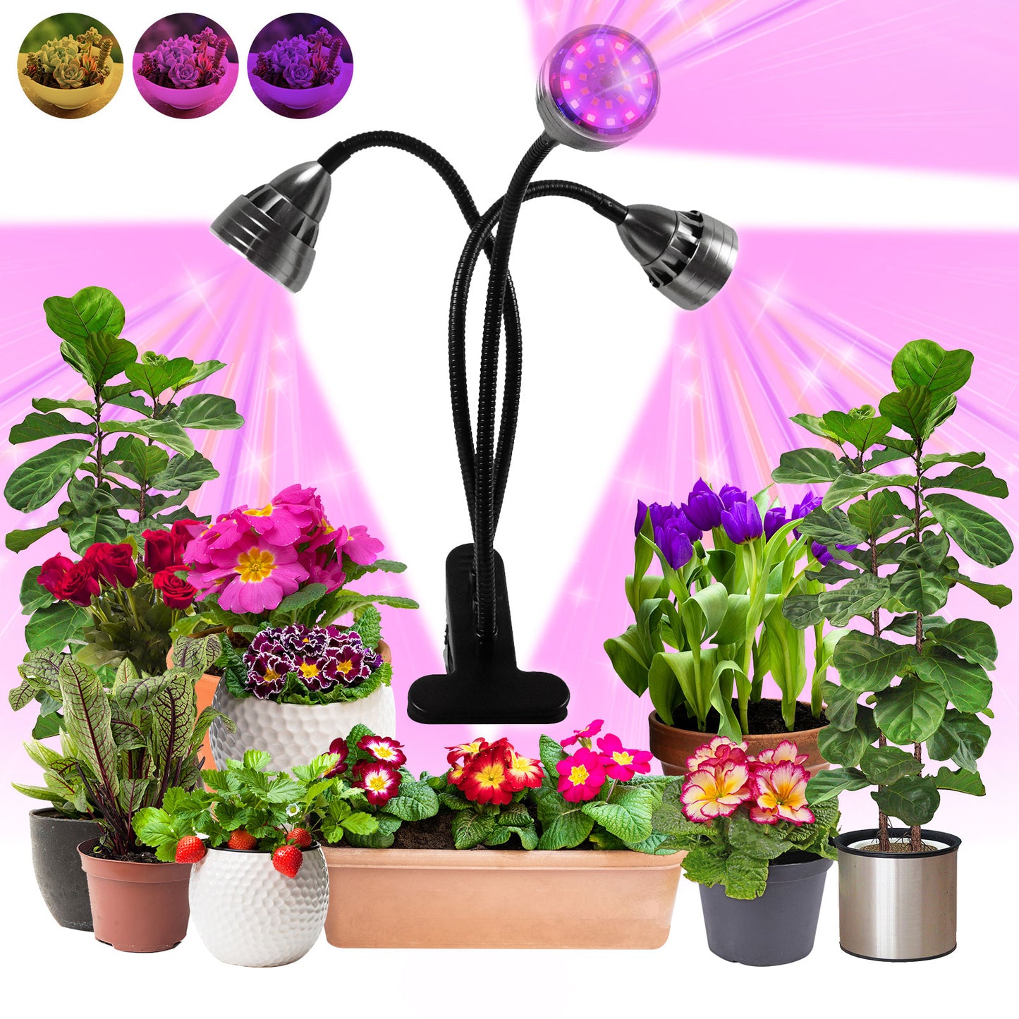 Luces LED para plantas con clip