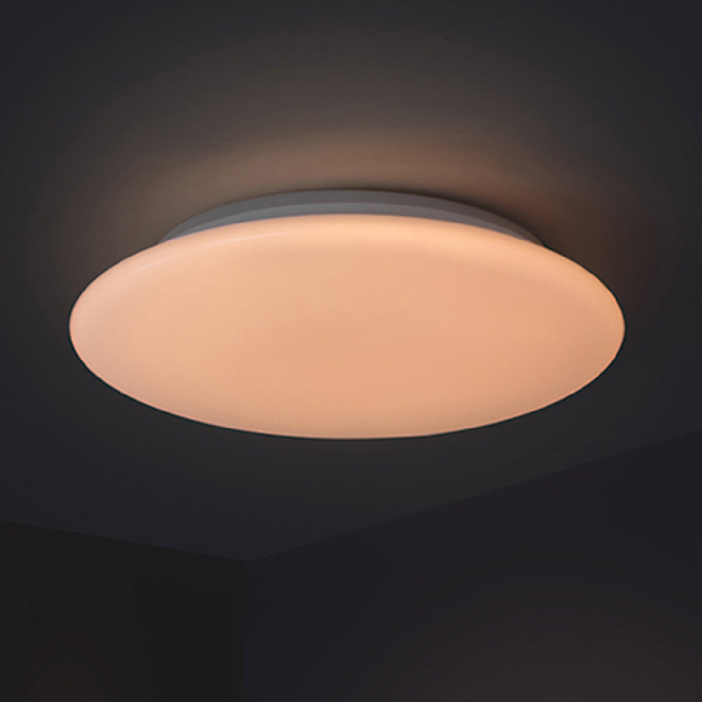 Smart Led RGB Ceiling Light Flush Mount 28W