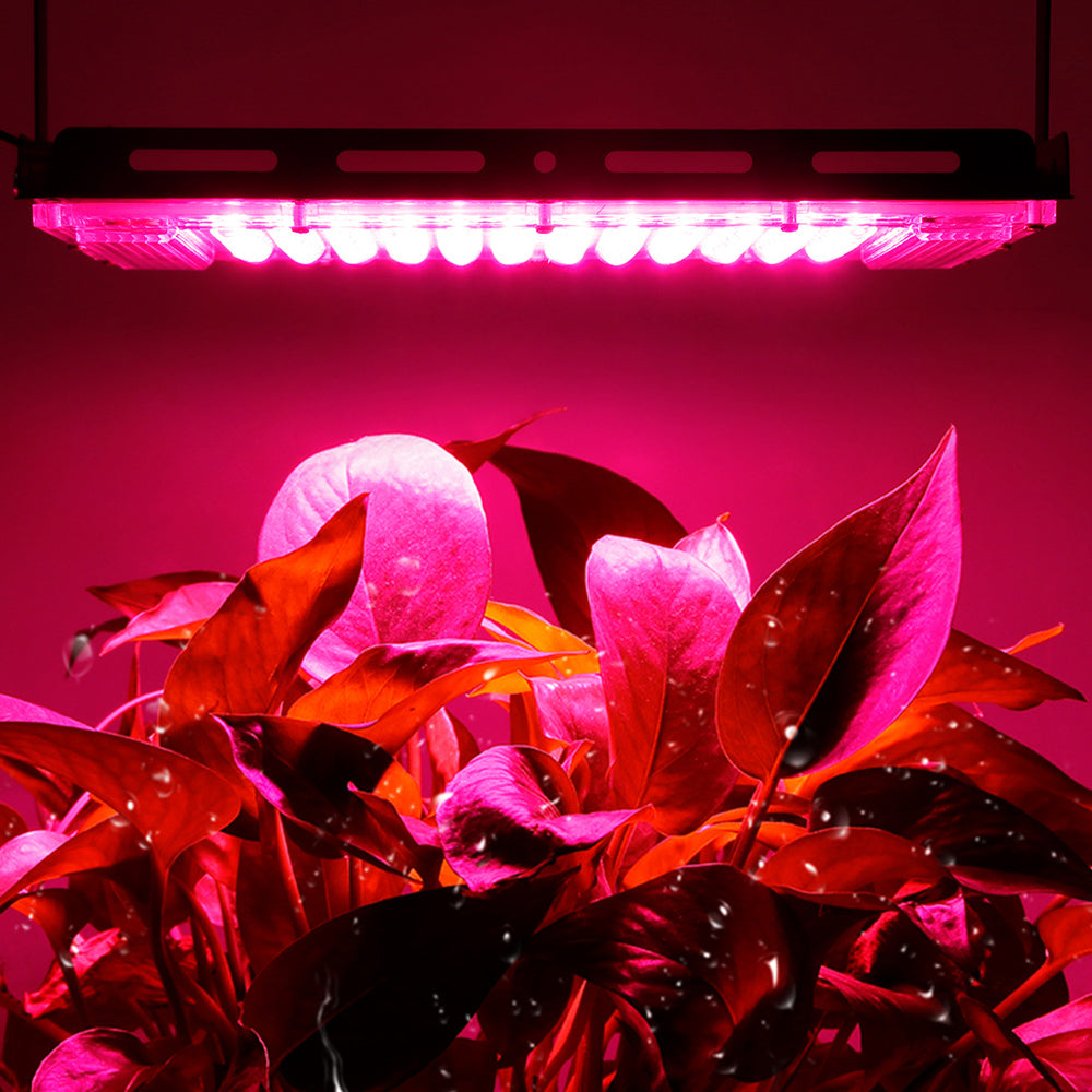 Interruptor de encendido y apagado de luz LED para plantas 50W/100W