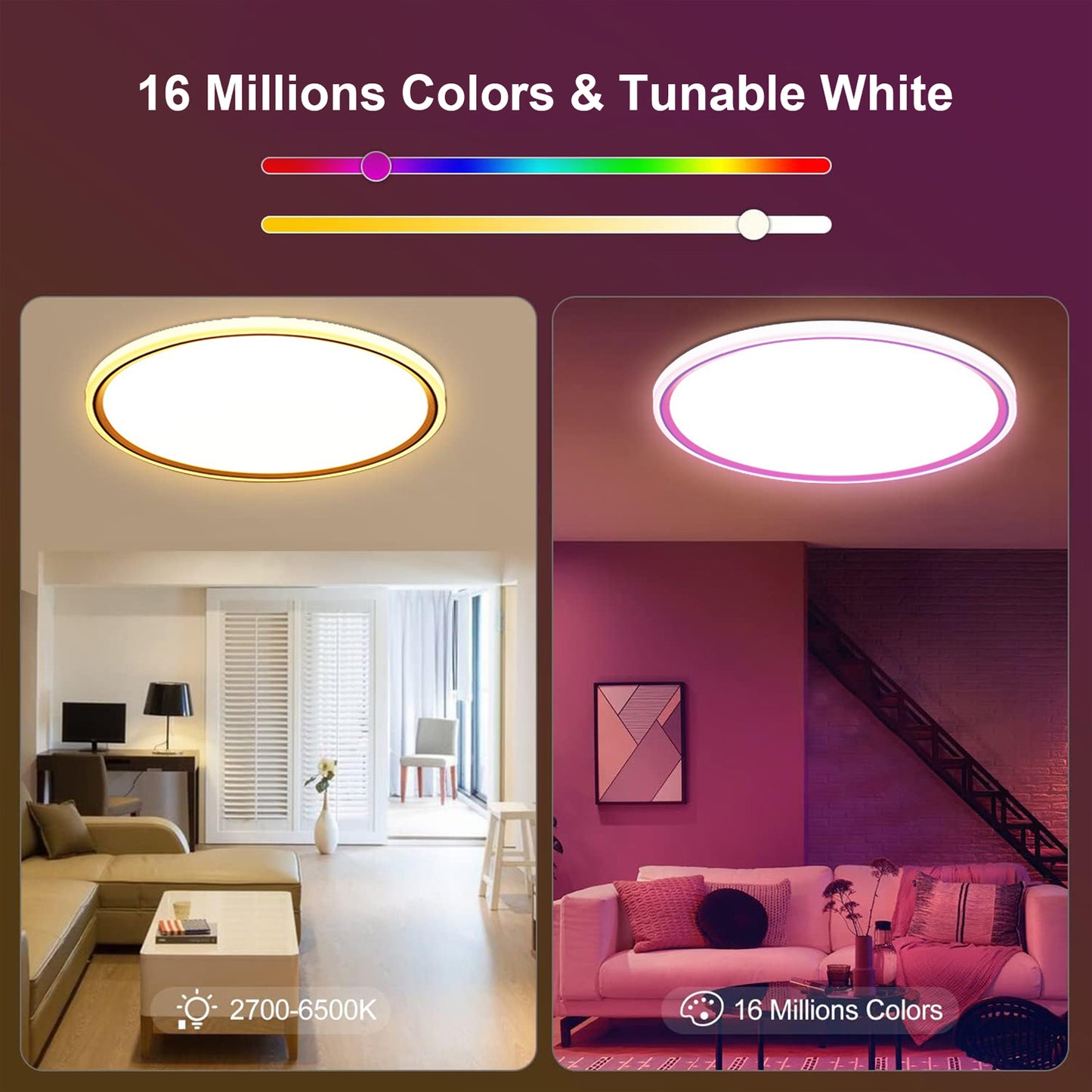 Flush Mount LED Ceiling Light Smart Wifi Ble Remote Control