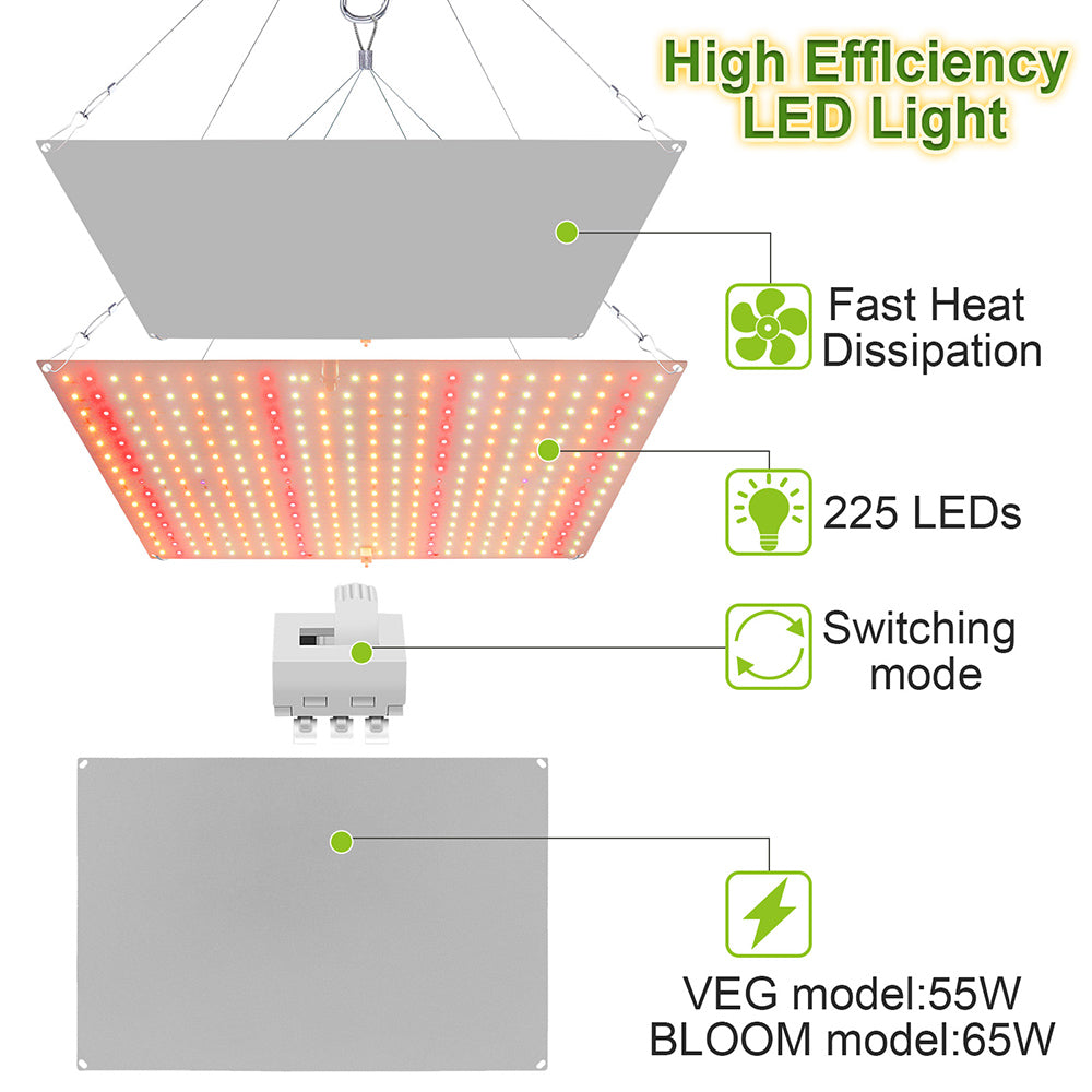 LED élèvent le spectre complet de la lumière