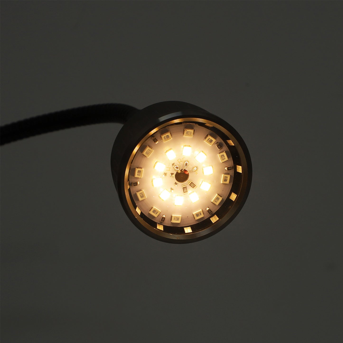 Lampes LED pour plantes à clipser