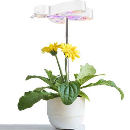 Lindas luces de cultivo LED con forma de abeja