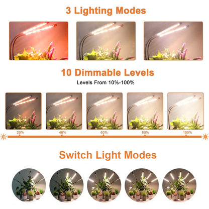 Lampes LED pour plantes à spectre complet avec minuterie marche/arrêt automatique