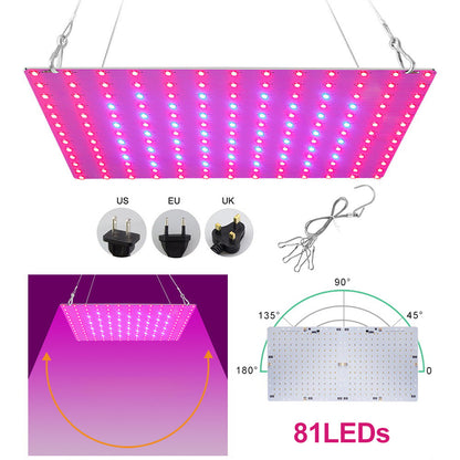 LED élèvent la lumière à spectre complet lumière bleue rouge 81-312LED 25W-80W