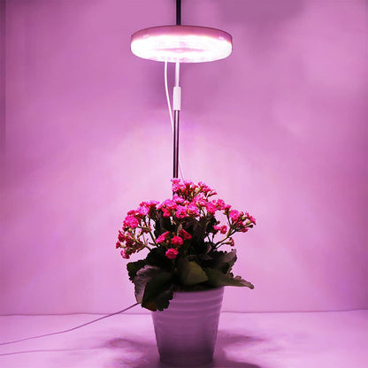 Lampes pour plantes à intensité variable avec tête lumineuse annulaire Spectrum